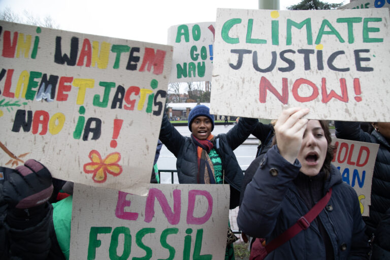 Flere ungdommer i protest mot klimaendringer med fargerike plakater