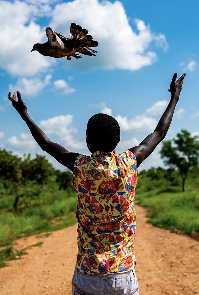 En gutt har sluppet en due og står med hendene opp mot himmelen