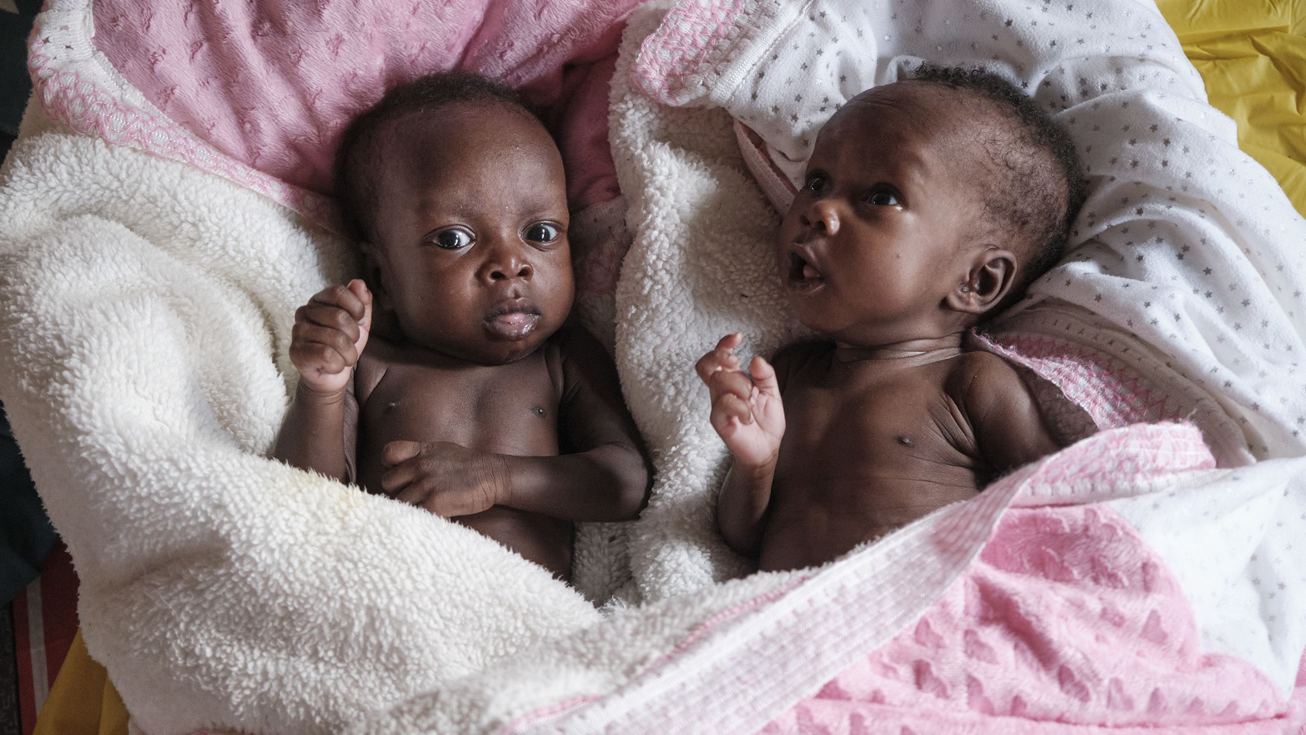To nyfødte tvillinger ligger på et varmt pledd og ser rund seg med store øyne.